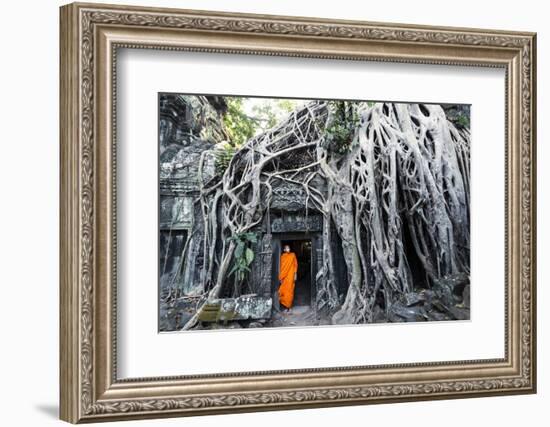 Cambodia, Siem Reap, Angkor Wat Complex. Buddhist Monk Inside Ta Prohm Temple (Mr)-Matteo Colombo-Framed Photographic Print