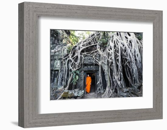 Cambodia, Siem Reap, Angkor Wat Complex. Buddhist Monk Inside Ta Prohm Temple (Mr)-Matteo Colombo-Framed Photographic Print