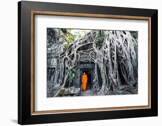 Cambodia, Siem Reap, Angkor Wat Complex. Buddhist Monk Inside Ta Prohm Temple (Mr)-Matteo Colombo-Framed Photographic Print