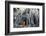 Cambodia, Siem Reap, Angkor Wat Complex. Buddhist Monk Inside Ta Prohm Temple (Mr)-Matteo Colombo-Framed Photographic Print