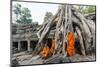 Cambodia, Siem Reap, Angkor Wat Complex. Monks Inside Ta Prohm Temple (Mr)-Matteo Colombo-Mounted Photographic Print