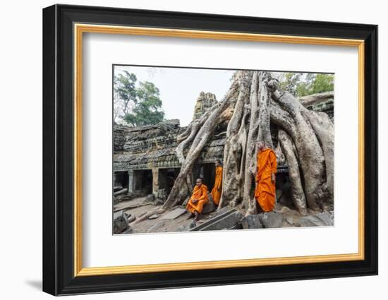 Cambodia, Siem Reap, Angkor Wat Complex. Monks Inside Ta Prohm Temple (Mr)-Matteo Colombo-Framed Photographic Print