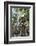 Cambodia, Ta Prohm, Siem Reap Province. the Ruins of the Buddhist Temple of Ta Prohm-Nigel Pavitt-Framed Photographic Print