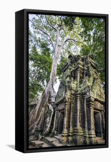 Cambodia, Ta Prohm, Siem Reap Province. the Ruins of the Buddhist Temple of Ta Prohm-Nigel Pavitt-Framed Premier Image Canvas