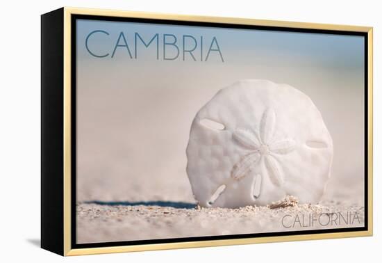 Cambria, California - Sand Dollar and Beach-Lantern Press-Framed Stretched Canvas