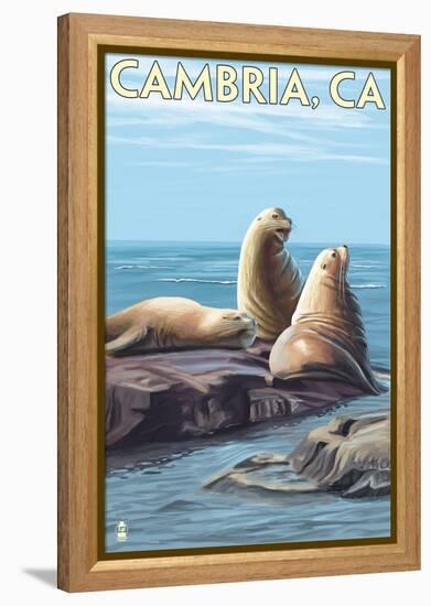 Cambria, California - Sea Lions, c.2009-Lantern Press-Framed Stretched Canvas