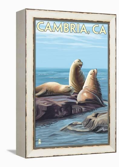 Cambria, California - Sea Lions, c.2009-Lantern Press-Framed Stretched Canvas