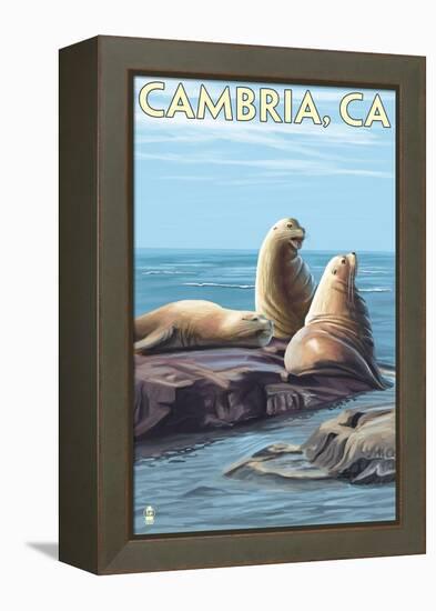 Cambria, California - Sea Lions, c.2009-Lantern Press-Framed Stretched Canvas