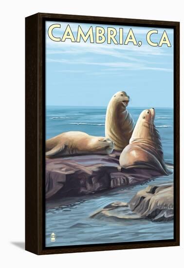 Cambria, California - Sea Lions, c.2009-Lantern Press-Framed Stretched Canvas