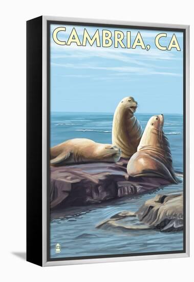 Cambria, California - Sea Lions, c.2009-Lantern Press-Framed Stretched Canvas