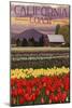 Cambria, California - Tulip Farm-Lantern Press-Mounted Art Print
