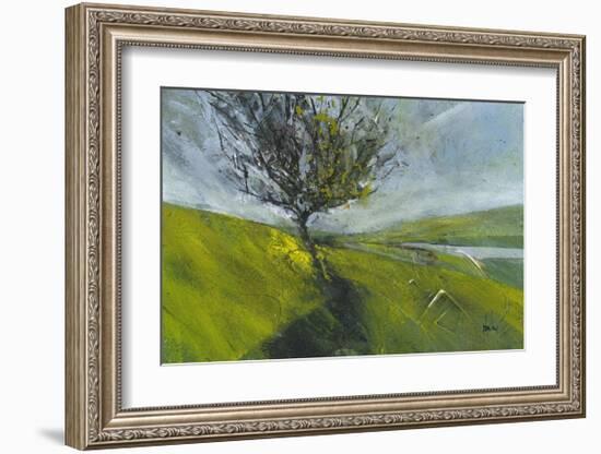 Cambrian Hawthorne-Paul Bailey-Framed Art Print