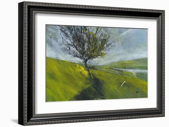 Cambrian Hawthorne-Paul Bailey-Framed Art Print