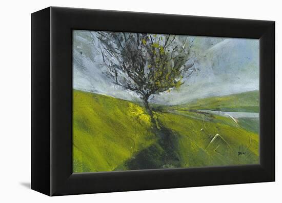 Cambrian Hawthorne-Paul Bailey-Framed Stretched Canvas