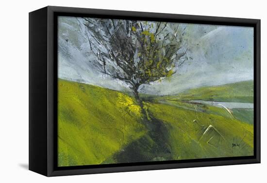 Cambrian Hawthorne-Paul Bailey-Framed Stretched Canvas