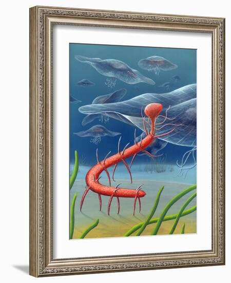 Cambrian Invertebrate, Artwork-Richard Bizley-Framed Photographic Print