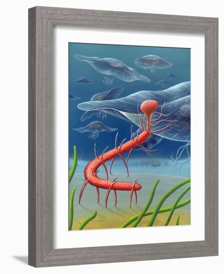 Cambrian Invertebrate, Artwork-Richard Bizley-Framed Photographic Print