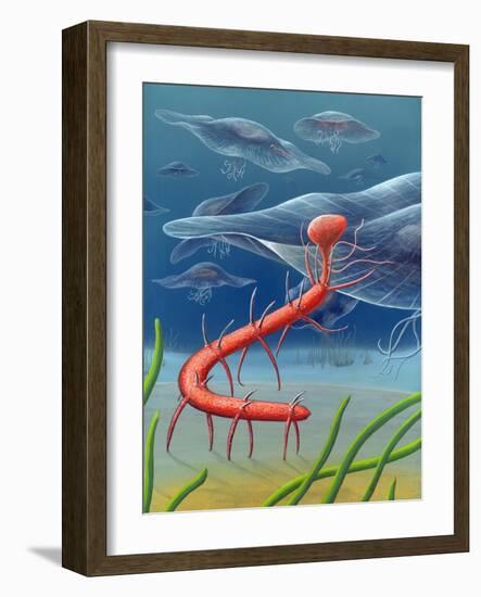 Cambrian Invertebrate, Artwork-Richard Bizley-Framed Photographic Print