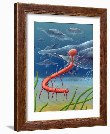 Cambrian Invertebrate, Artwork-Richard Bizley-Framed Photographic Print