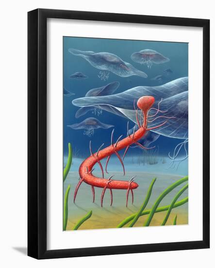Cambrian Invertebrate, Artwork-Richard Bizley-Framed Photographic Print