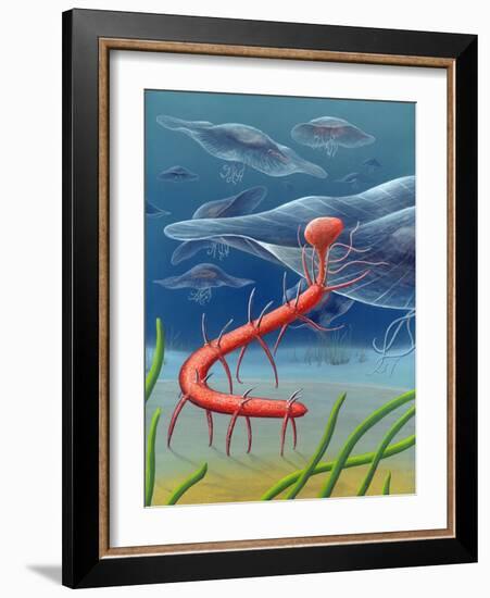 Cambrian Invertebrate, Artwork-Richard Bizley-Framed Photographic Print