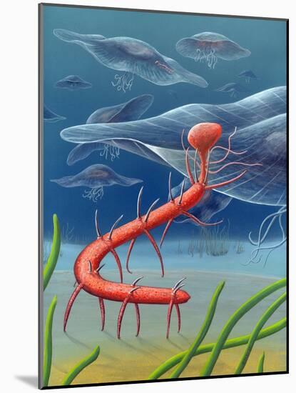 Cambrian Invertebrate, Artwork-Richard Bizley-Mounted Photographic Print