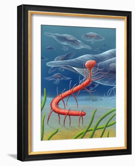 Cambrian Invertebrate, Artwork-Richard Bizley-Framed Photographic Print