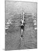Cambridge Boat Crew 1930-null-Mounted Premium Photographic Print