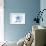 Cambridge, Maryland - Starfish - Blue - Coastal Icon-Lantern Press-Framed Art Print displayed on a wall