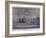 Cambridge Telegraph, Fetter Lane, London, C1830-George Hunt-Framed Giclee Print