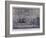 Cambridge Telegraph, Fetter Lane, London, C1830-George Hunt-Framed Giclee Print