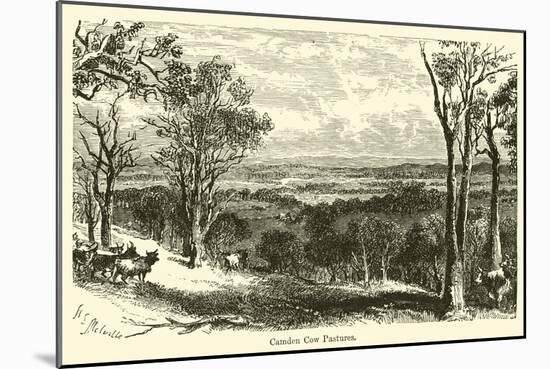 Camden Cow Pastures-Harden Sidney Melville-Mounted Giclee Print