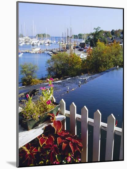 Camden Harbor, Maine, USA-Fraser Hall-Mounted Photographic Print