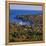 Camden Harbour, Camden Hills State Park, Maine, New England, USA-Roy Rainford-Framed Premier Image Canvas