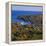 Camden Harbour, Camden Hills State Park, Maine, New England, USA-Roy Rainford-Framed Premier Image Canvas