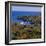 Camden Harbour, Camden Hills State Park, Maine, New England, USA-Roy Rainford-Framed Photographic Print