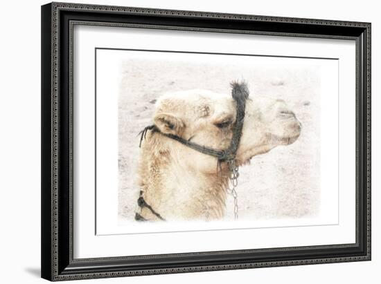 Camel 1-Sheldon Lewis-Framed Art Print