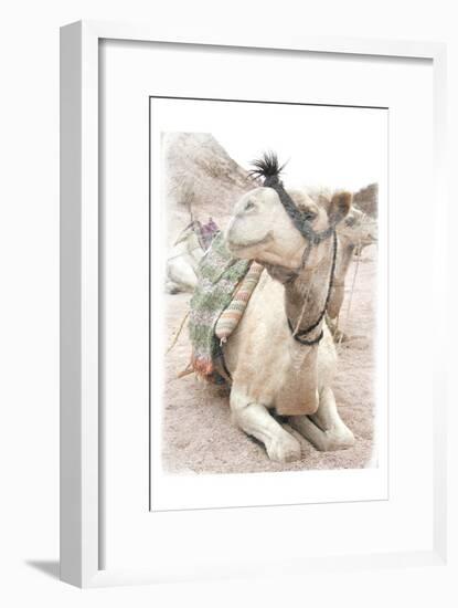 Camel 2-Sheldon Lewis-Framed Art Print