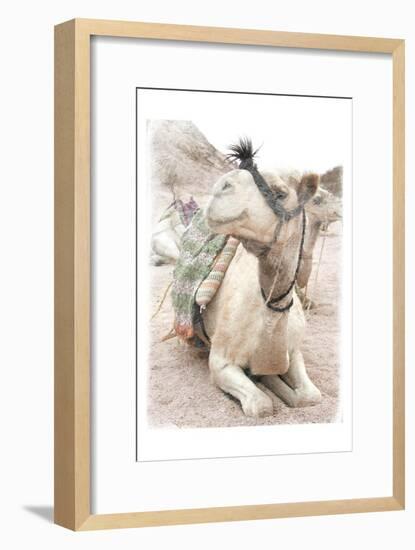 Camel 2-Sheldon Lewis-Framed Art Print