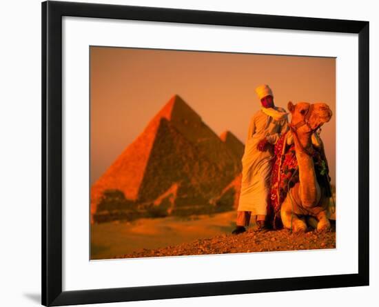 Camel and Driver Resting near the Great Pyramids, Egypt-Alexander Nesbitt-Framed Photographic Print