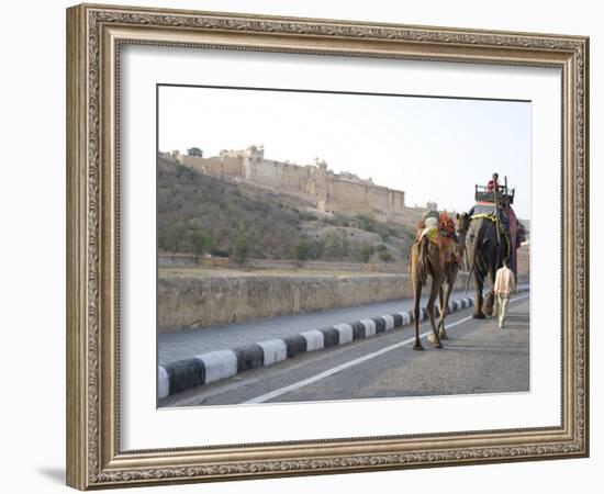 Camel and Elephant Walking Past Amber Fort, Amber, Rajasthan, India, Asia-Annie Owen-Framed Photographic Print