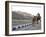 Camel and Elephant Walking Past Amber Fort, Amber, Rajasthan, India, Asia-Annie Owen-Framed Photographic Print