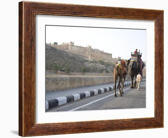 Camel and Elephant Walking Past Amber Fort, Amber, Rajasthan, India, Asia-Annie Owen-Framed Photographic Print