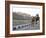 Camel and Elephant Walking Past Amber Fort, Amber, Rajasthan, India, Asia-Annie Owen-Framed Photographic Print