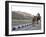 Camel and Elephant Walking Past Amber Fort, Amber, Rajasthan, India, Asia-Annie Owen-Framed Photographic Print