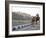 Camel and Elephant Walking Past Amber Fort, Amber, Rajasthan, India, Asia-Annie Owen-Framed Photographic Print