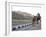 Camel and Elephant Walking Past Amber Fort, Amber, Rajasthan, India, Asia-Annie Owen-Framed Photographic Print