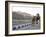 Camel and Elephant Walking Past Amber Fort, Amber, Rajasthan, India, Asia-Annie Owen-Framed Photographic Print