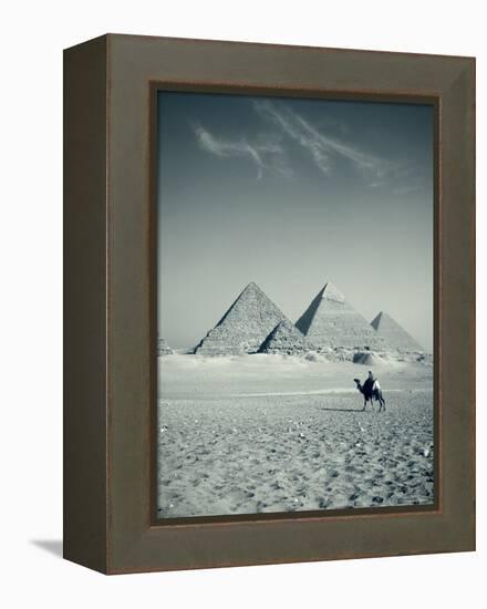 Camel and Giza Pyramids, Giza, Cairo, Egypt-Jon Arnold-Framed Premier Image Canvas