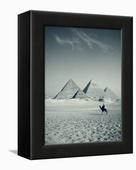 Camel and Giza Pyramids, Giza, Cairo, Egypt-Jon Arnold-Framed Premier Image Canvas